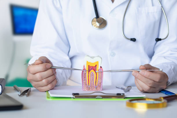Best Emergency Dentist for Lost Fillings or Crowns in St Stephen, SC